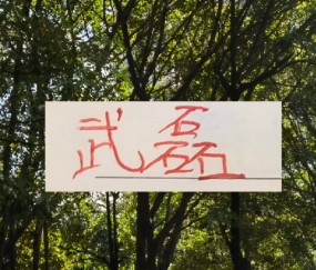 海港冬训海报 武磊跟LEO占C位 梅伦多跟加布里不在之中